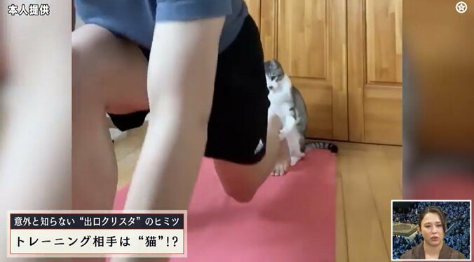 美人アスリート、“愛猫”と前代未聞のトレーニング動画が話題 あまりの驚きと可愛さに思わず二度見必至 「この猫可愛すぎ」「これはバズりますね」 3枚目