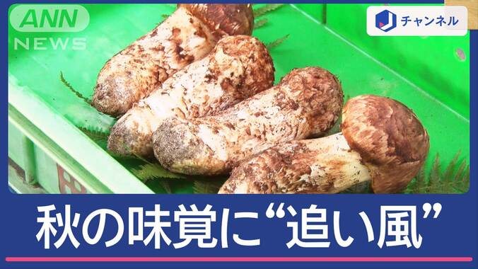 季節外れの暖かさ“うれしい誤算”秋の味覚にも追い風 1枚目