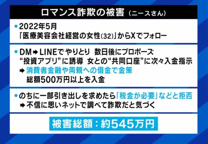 SNS型投資詐欺の手口（詳細）