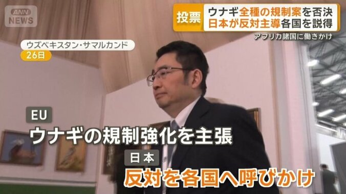 反対票を投じるよう各国へ呼び掛け
