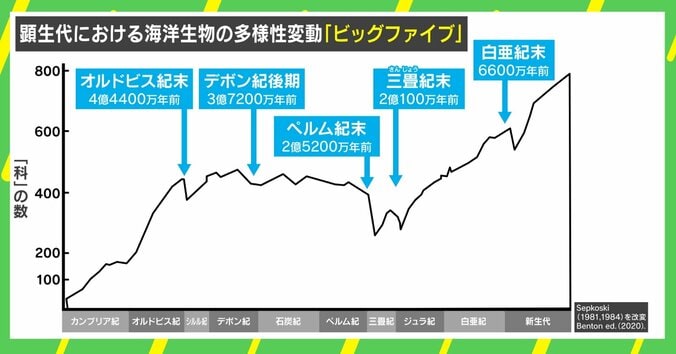 隕石衝突以来… “第6の大量絶滅”による野生動物たちへ迫る危険に専門家「人類がどう行動していくのか問われている」 3枚目