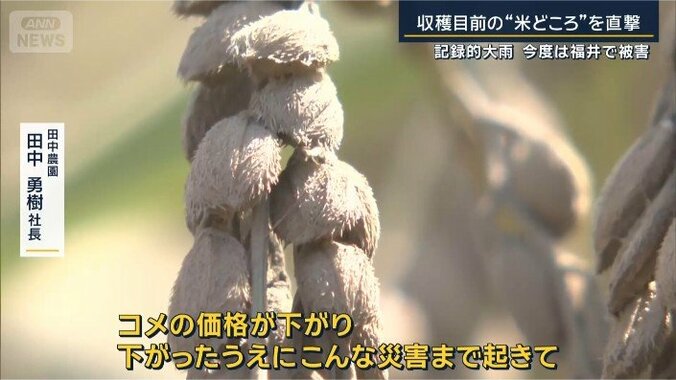 田中勇樹社長