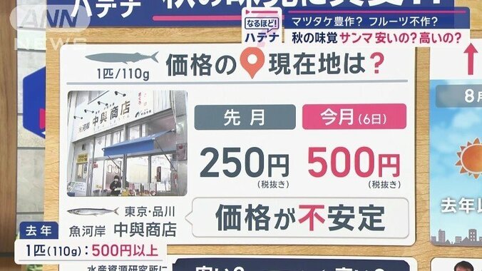 気になる価格は？