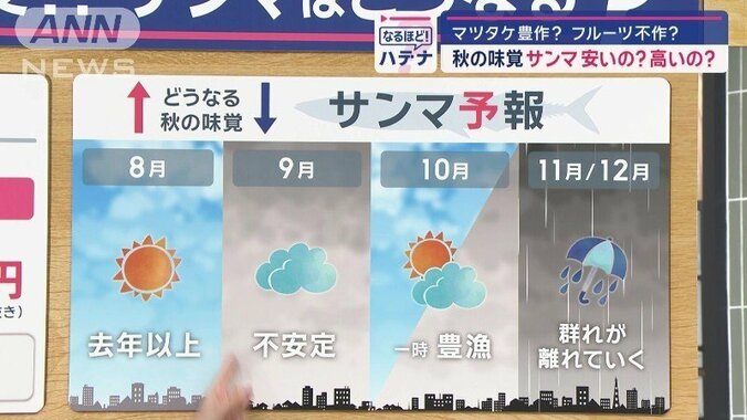 今年の見通しを天気予報形式で紹介