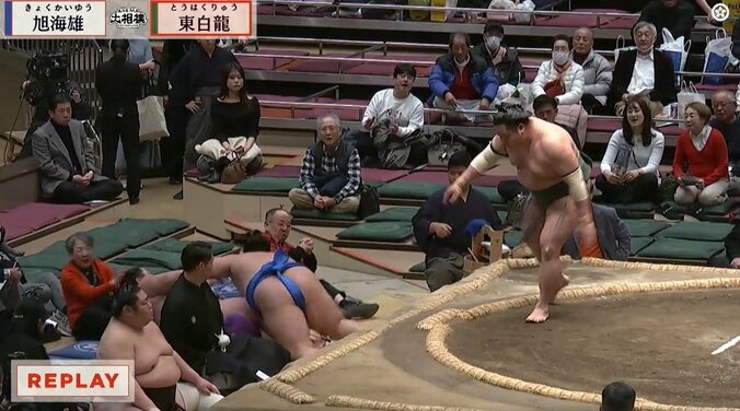 ウクレレ漫談でおなじみの芸人・ぴろき師匠