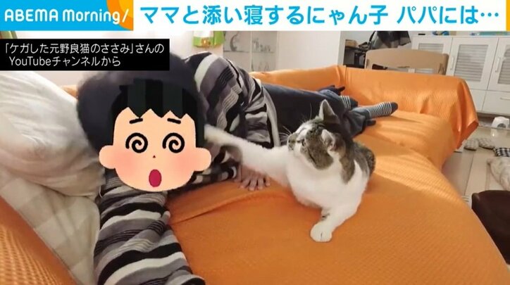 ママとの添い寝は幸せそうな表情、パパに代わると猫パンチ まさかの反応に夫婦も爆笑