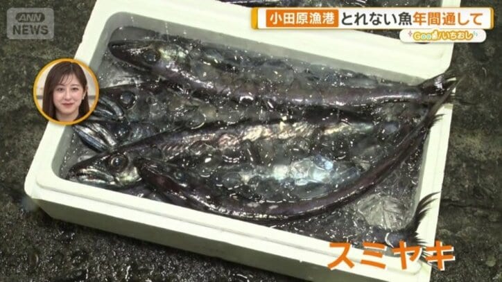 炭で焼かれたような模様