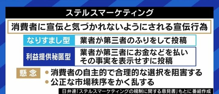 TikTok日本法人のステマ問題 名指しで批判されるべきは、フォロワーを裏切ったインフルエンサーではないか? 4枚目
