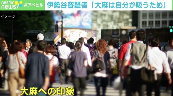 伊勢谷容疑者逮捕で“大麻論争”再燃 日本は本当に時代遅れ？ 危険な「酒より安全」「海外の研究では…」の議論