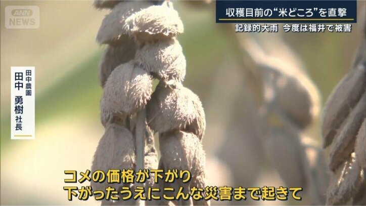 田中勇樹社長