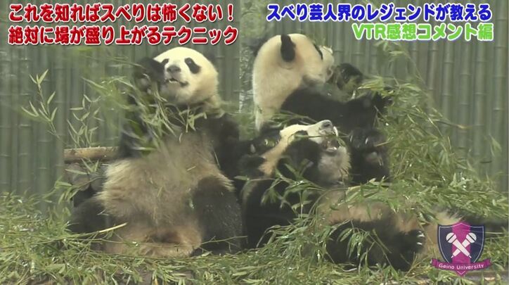 ますおか岡田、娘・結実は「ライバル」「何も教えていない」