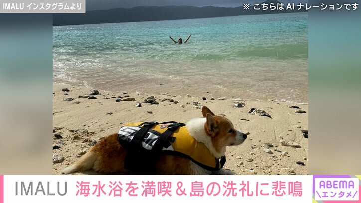 IMALU Instagramより