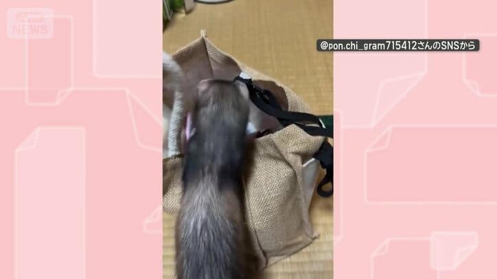 バッグに近づく