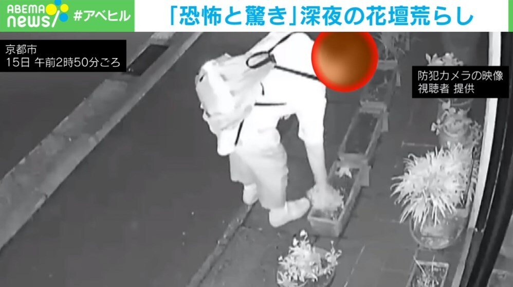 恐怖! 花壇荒らしの一部始終を収めた映像に被害女性「気持ち悪い」 | 国内 | ABEMA TIMES | アベマタイムズ