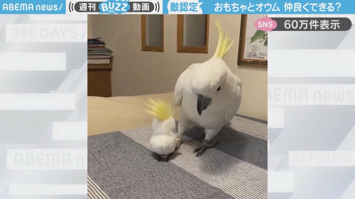 img_4f4e2c4732f624e30cf3b1158c