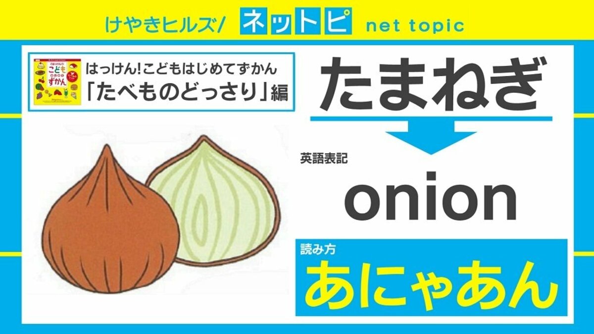 たまねぎ Onion は あにゃあん ダイソーの子ども向け図鑑が ガチすぎる と話題に 国内 Abema Times