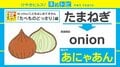 たまねぎ（onion）は「あにゃあん」、ダイソーの子ども向け図鑑が「ガチすぎる」と話題に