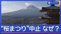 20万人来場「桜まつり」中止　“相次ぐ迷惑行為”　観光客のマナー問題の実態は？