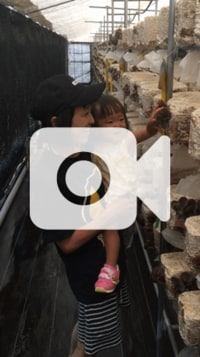 森渉『キクラゲ狩りに行ってきました(≧∀≦)/』