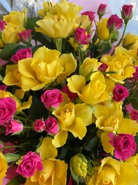 原田龍二の嫁『今年のホワイトデー』