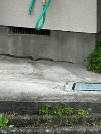 尾形あい『どうなってるのよ!』