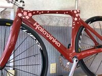 山原さくら、“最強に可愛い”新車公開 ぶっつけ本番の地元レースに「全力で走ってきます！」／ガールズケイリン