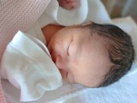 尾崎紗代子『無事産まれました』