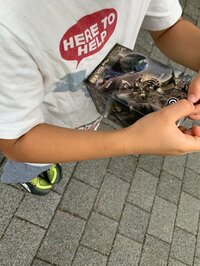 山川恵里佳『モンハン』