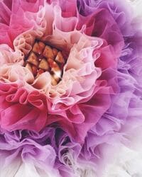 「可愛すぎて絶叫」「エモい」小嶋陽菜、美背中あらわなノースリーブス衣装ショットに反響