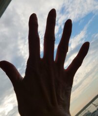 秋野暢子『明日から２クール目』