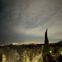 Seiko Darvish『あんな事言ったけど』