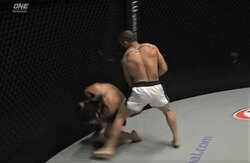 元王者が戦意喪失で“自ら”ダウン…残酷すぎるTKO決着 元UFCランカーの“石の拳”に戦慄