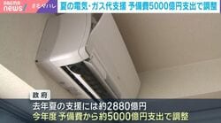 夏の電気・ガス代支援 予備費5000億円支出で調整