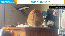 猫はどこにいる？ 飼い主が披露した“クセ強”な写真が「毛の生えた卵ですか？」「見事にまんまる」と反響 