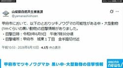 甲府市でツキノワグマか 「黒い中・大型動物」の目撃情報