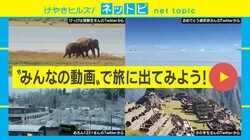「新型コロナで気が滅入るから…」外出自粛でも“みんなの動画”で旅行！ 絶景投稿が続々