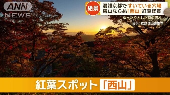 知る人ぞ知る「西山」