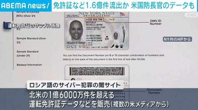 運転免許証のサンプル画像