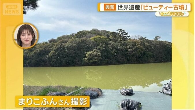 まりこふんさん撮影の写真