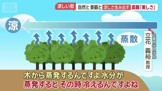 もう一つの要因「巨大な森」