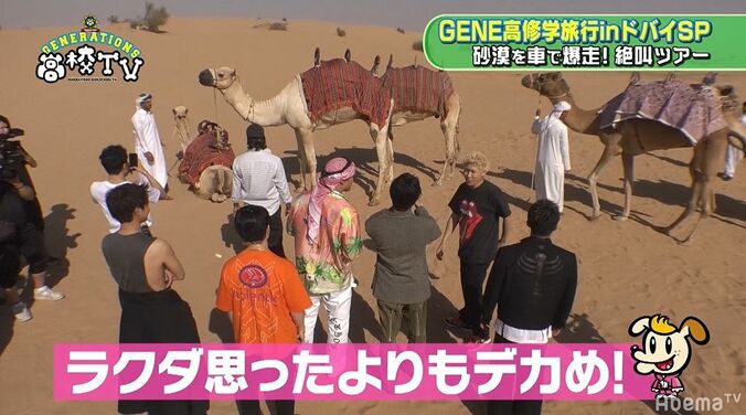片寄涼太、王子キャラ崩壊！？砂漠でラクダ体験するもビビりまくり絶叫 2枚目