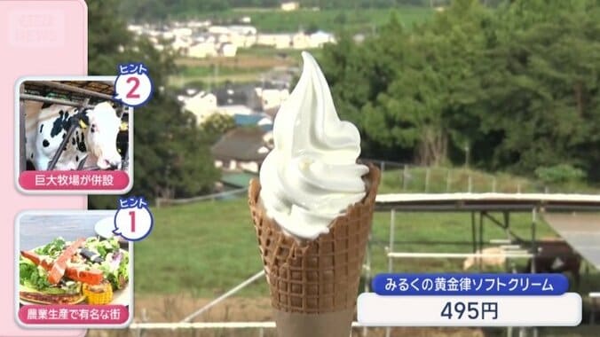 みるくの黄金律ソフトクリーム