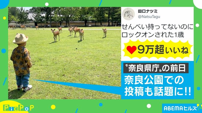 景色に夢中になるあまり柵を掴めていない息子が「はちゃめちゃに可愛いですね!!」と話題 2枚目