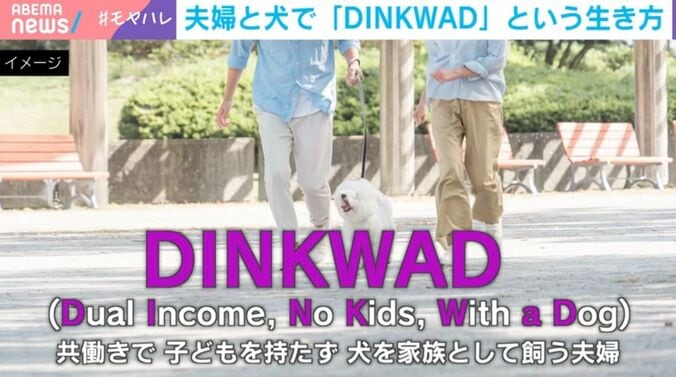 DINKWAD