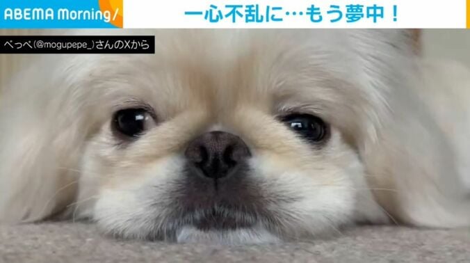 ぺっぺちゃん