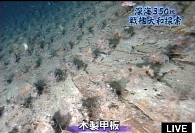 水深350mで眠る戦艦「大和」　ハイビジョン調査映像が公開 6枚目