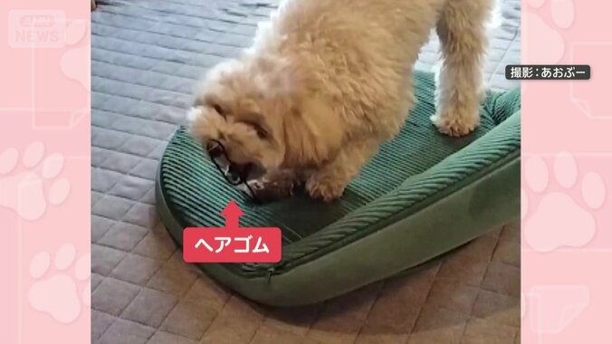 鼻にひっかけて飛ばす！