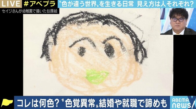 ｢色覚異常｣を抱える人たちの悩み…「見え方の幅と思っていただければ」旧来のままの簡易検査の復活に疑問も 1枚目