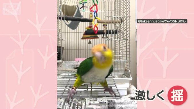 ある日、激しく体を揺らす