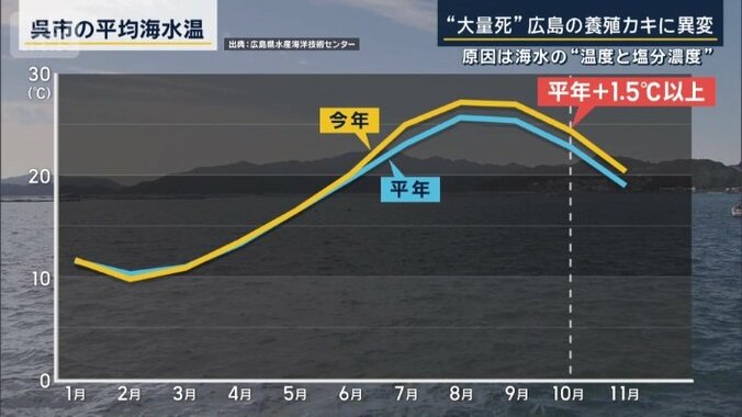 呉市の平均海水温